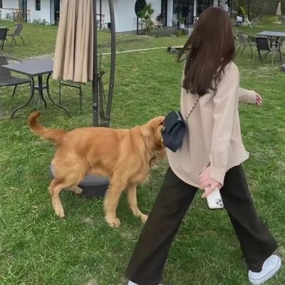 巴比伦艳后